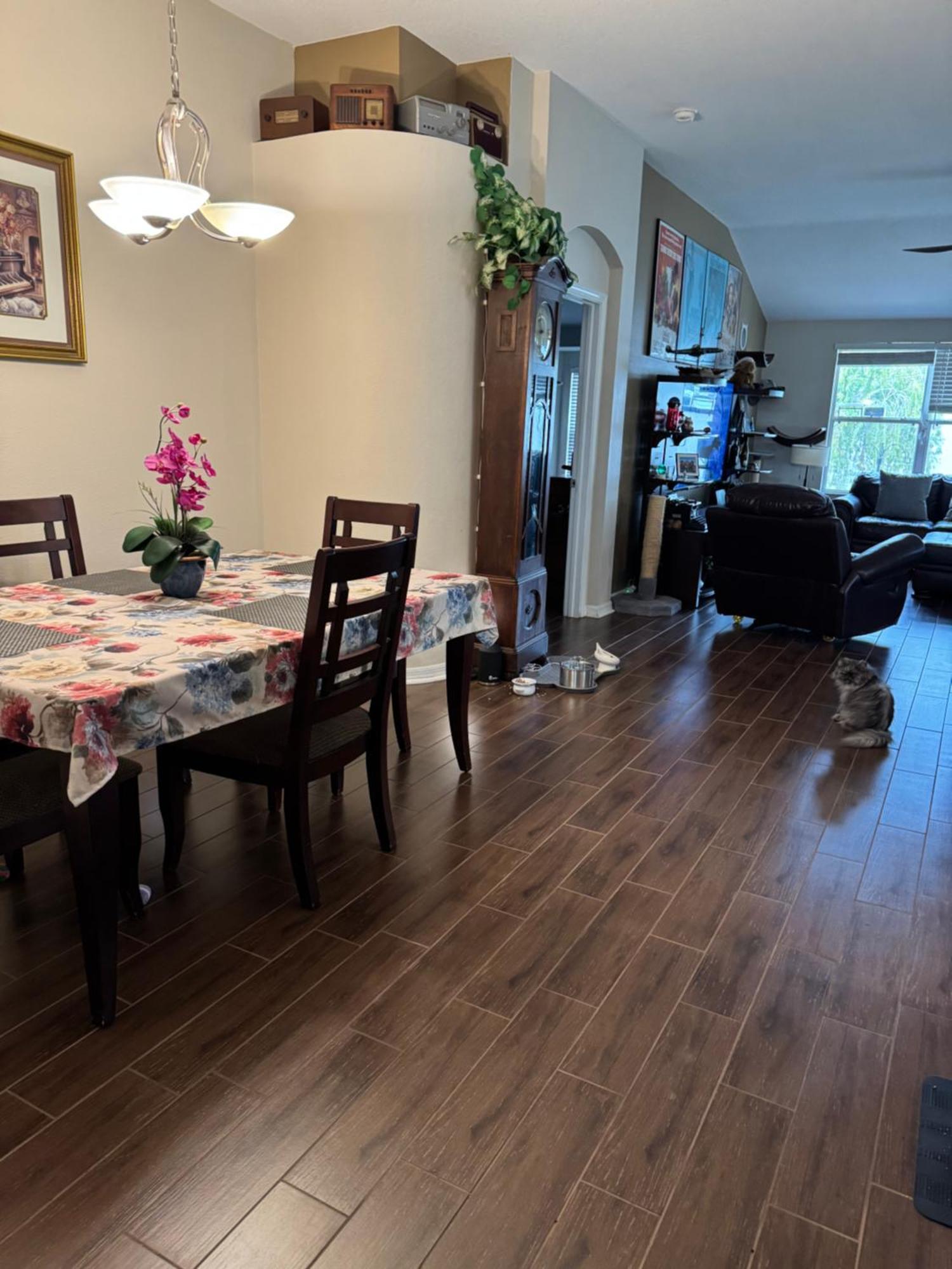 Ruskin Fl Private 2 Bdrm 1 Bath Suite Common Areas Shared With Host And Cat Exterior photo